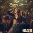Dil Thaam Ke (From Maalik)