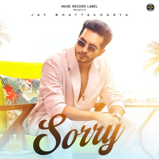 Sorry