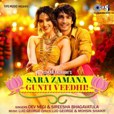 Sara Zamana Gunti Veedhi