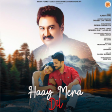 HAAY MERA DIL