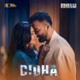 Didha (From Borbaad)